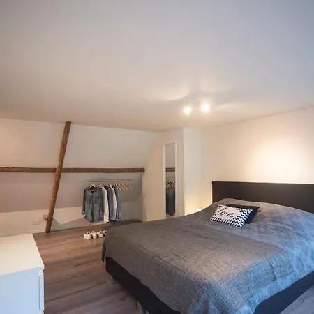 Zandster زاندفورت