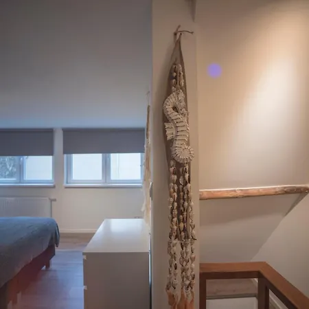 Prázdninový dům Zandster