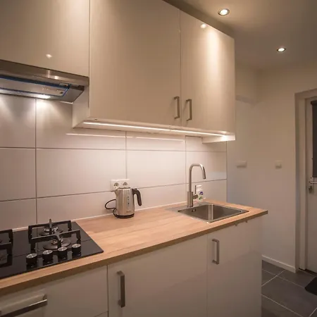 Prázdninový dům Zandster