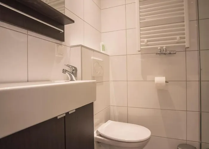 Zandster * Zandvoort